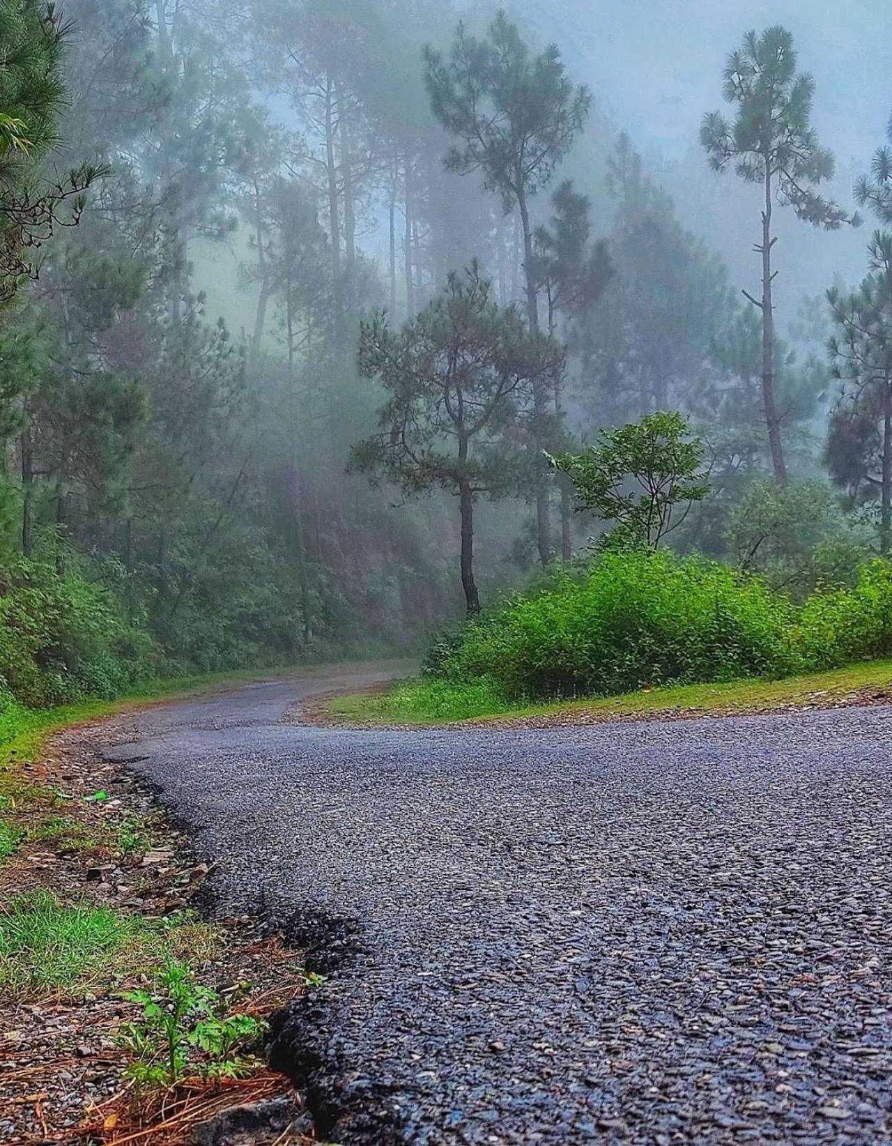 Kabana De Nature Rājgarh Exterior photo